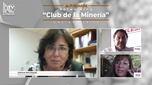 Networking Aprimin aborda los hitos a cumplir de la Ley REP