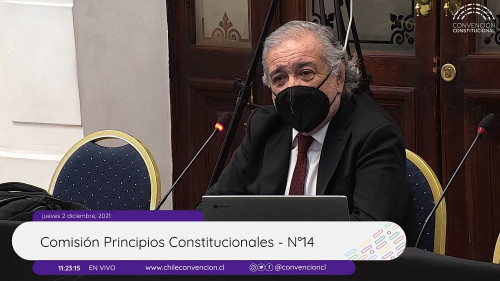 Director ejecutivo de Aprimin expone en la Comisión de Principios Constitucionales de la Convención Constitucional