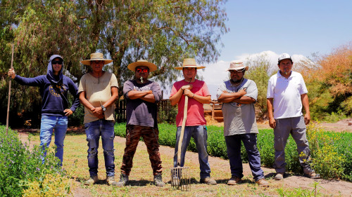 Ganaderos de Pintados y Quillagua consolidan trabajo colaborativo