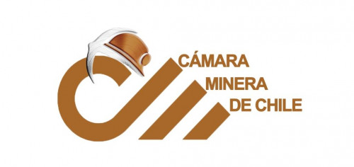 Cámara Minera manifiesta su preocupación por decisiones de los constituyentes sobre el sector