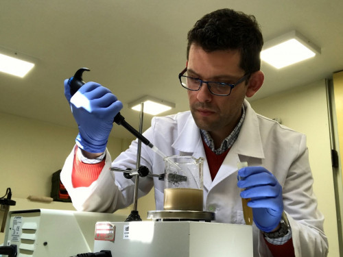 Científicos chilenos patentan hongo que acelera el trabajo de bacterias que recuperan cobre