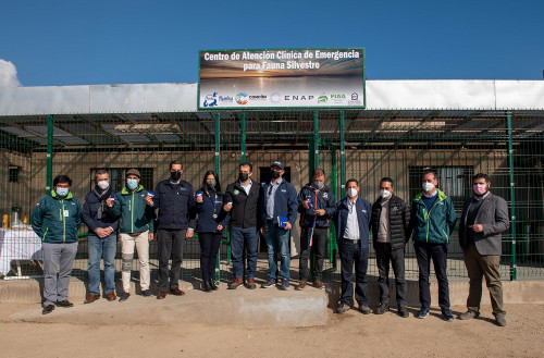 ENAP y Fundación Ñamku inauguran centro de atención clínica para la fauna silvestre