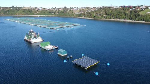 Gasco impulsa plataforma solar flotante de generación de energía para salmones en Aysén