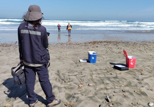 SMA ordena medidas a Minera Los Pelambres por colapso de plataforma en Bahía Conchalí