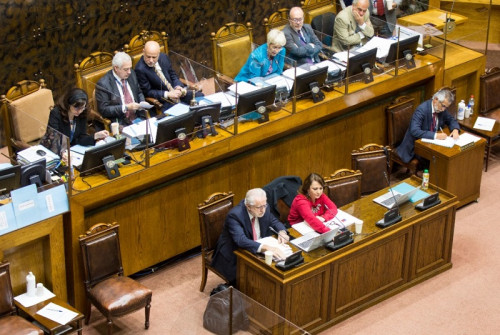 Senado aprueba en general el proyecto que viabiliza el cierre de la fundición Ventanas