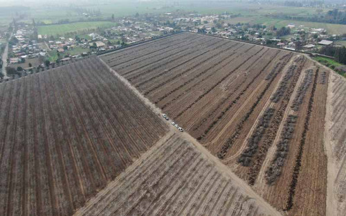 Llay Llay tendrá nuevo parque solar con suministro durante las 24 horas