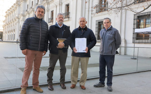 Asociaciones mineras solicitan al Gobierno intervención de Enami