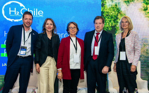Expertos llaman a tomar medidas “más audaces” para estimular la producción y uso del H2V