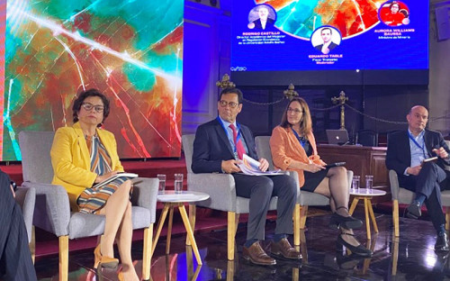 Directora Ejecutiva del SEA expuso en el Congreso de Minería y Energía del Futuro
