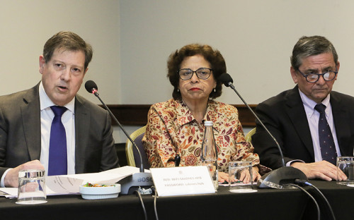 Ministra de Minería informó que SEA declaró admisible proyecto para reemplazar la Fundación Hernán Videla Lira