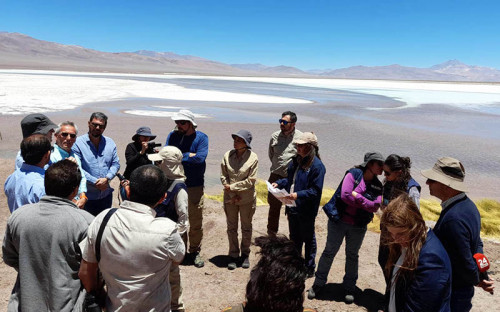 Segundo Tribunal Ambiental realizó inspección al proyecto minero Blanco