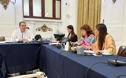 Iván Mlynarz aborda la situación financiera de Enami en Comisión Especial Investigadora de la Cámara de Diputados