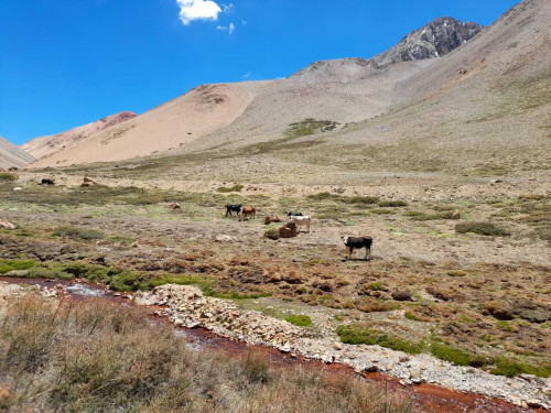 Anglo American adquiere la totalidad de Santuario de la Naturaleza ubicado en la comuna de Lo Barnechea para su conservación
