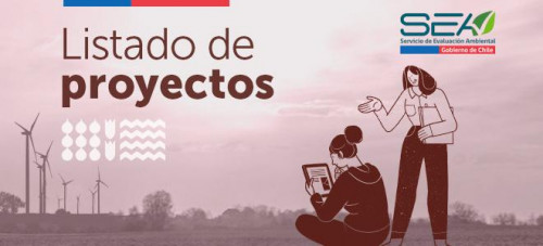 SEA presenta proyectos sujetos a Declaración de Impacto Ambiental de febrero