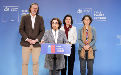 Con la firma de sus estatutos, se constituye oficialmente el Instituto Nacional de Litio y Salares