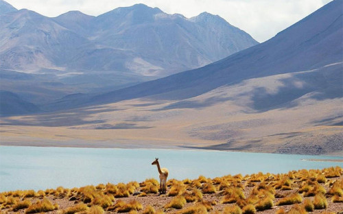 Investigadores de la U. de Chile desarrollan metodología pionera para evaluar impactos del cambio climático