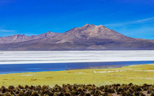 Primer Tribunal Ambiental decreta paralización de faenas de Quiborax en el Salar de Surire
