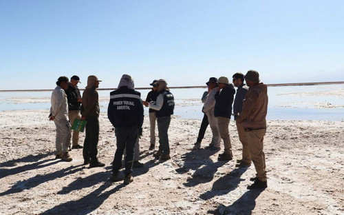 Primer Tribunal Ambiental aprueba acuerdo por daño ambiental en contra de empresas mineras
