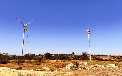 La energía verde liderará la transición hacia un futuro sostenible a nivel global según expertos