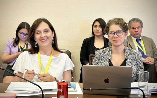 Avanza reforma a la SMA: Comisión de Hacienda de la Cámara despachó el proyecto para su votación en Sala