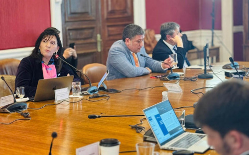 Acera reitera viabilidad fiscal del subsidio eléctrico sin distorsionar el mercado ni afectar la inversión en renovables