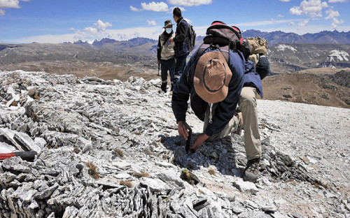 Resolver vacíos normativos es clave para reactivar la exploración de litio en Perú, alertan especialistas