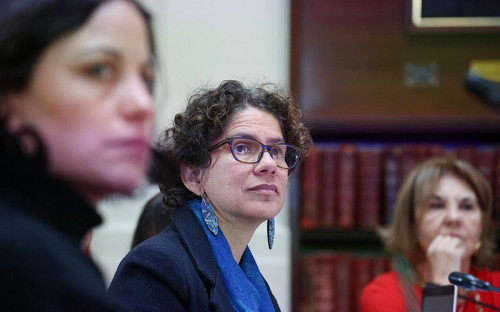 Comisión de Medio Ambiente del Senado aprueba legislar fortalecimiento institucional de la SMA