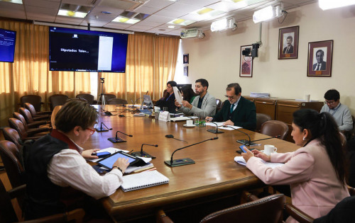Comisión Investigadora da cuenta de graves falencias en corte de energía masivo de febrero