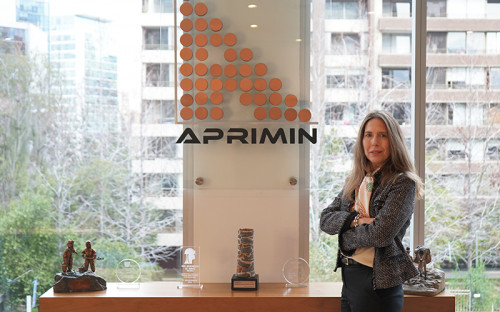 Aprimin nombra a Paula Frigerio como nueva gerenta general