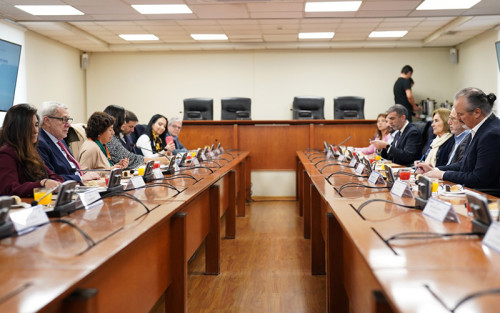 Comité Consultivo de Alto Nivel recibe informe final del anteproyecto de la Estrategia Nacional de Minerales Críticos