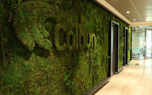 Colbún S.A. anuncia exitosa colocación de bonos verdes por US$500 millones en el mercado internacional