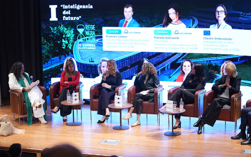 Cumbre del Litio y Energías analizó con expertos los pilares de la regeneración