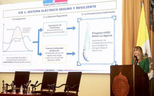 Ministra de Energía sobre sector PMGD: “El sistema actual genera distorsiones relevantes”
