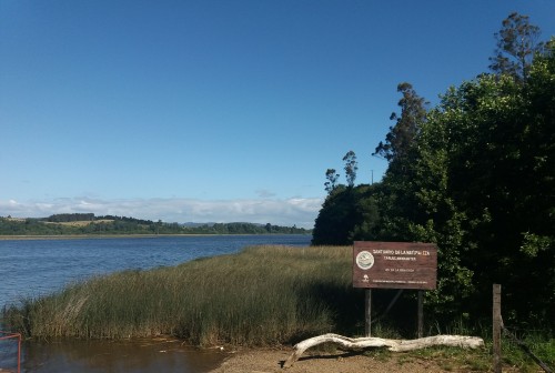 Mejor monitoreo y desarrollo tecnológico sostenible están entre los desafíos para asegurar la calidad del agua en Chile