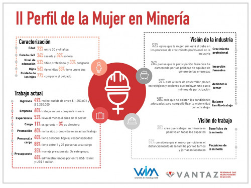 La mitad de las mujeres que se desempeña en minería cree que su trabajo no es compatible con la maternidad