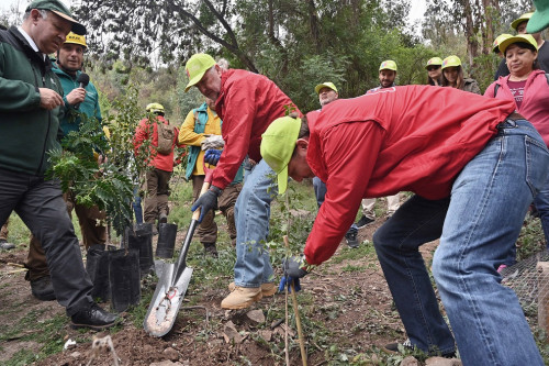 Ministerio de Minería se convierte en la primera cartera que se acredita como Estado Verde