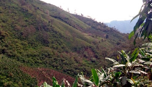 Estudio de prefactibilidad de proyecto Cascabel se espera esté concluido a fin de año