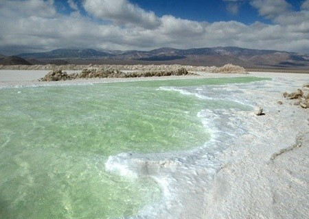 SQM definirá antes de fin de año futuro de su propiedad en el salar Maricunga