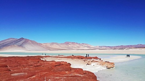 Gigante global de litio presenta inédito plan para monitorizar el agua en el Salar de Atacama