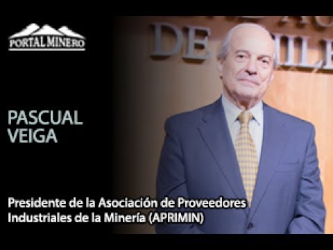 Entrevista de la Semana: Pascual Veiga, Presidente de la Asociación de Proveedores Industriales de l