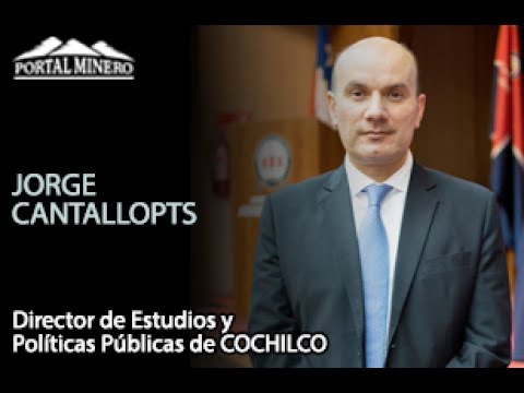 Jorge Cantallopts, Director de Estudios y Políticas Públicas de COCHILCO