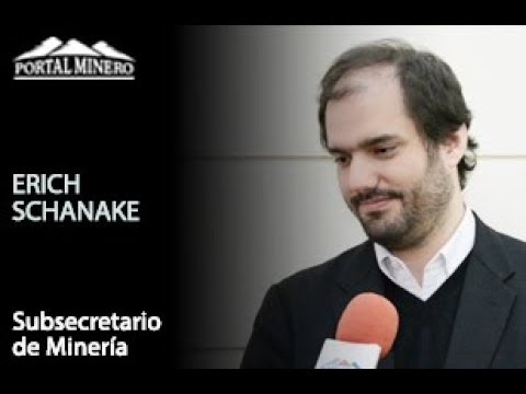 Erich Schnake, Subsecretario de Minería