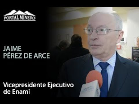 Jaime Pérez de Arce, Vicepresidente Ejecutivo de Enami