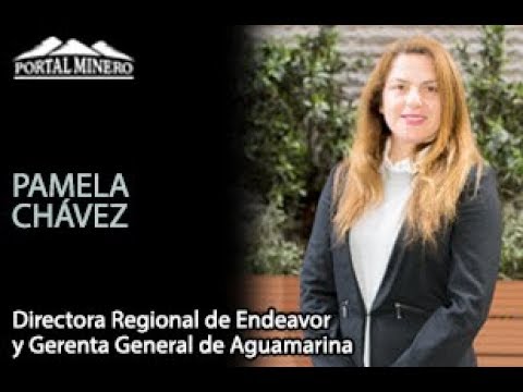 Pamela Chávez, Directora Regional de Endeavor y Fundadora de Aguamarina
