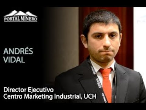 Andrés Vidal, Director Ejecutivo Centro Marketing Industrial, UCH